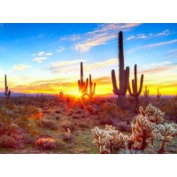 L & A Services, A Capital West Agency