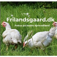 Frilandsgaard.dk logo - Similar company to Beerlivery
