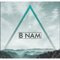 BANAM Communications logo - Similar company to Alamstech Dynamics