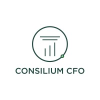 Consilium CFO logo - Similar company to Wierson Cpa, Pllc