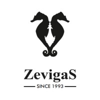 Zevigas logo - Similar company to Trylon Global