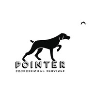 Pointer Professional Services logo - Similar company to Jda Professional Services, Inc.