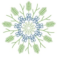 PROMISE II logo - Similar company to Transformed | Transforming The Mediterranean Region Through Agroforestry