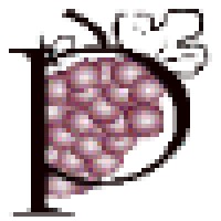 Paumanok IMR logo - Similar company to Bluex Microelectronics Corp. Ltd.