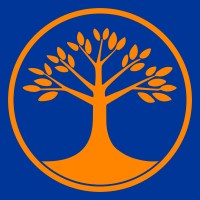 Immer Quantitative Investments logo - Similar company to The Buxton Partnership, Chartered Accountants And Business Advisers