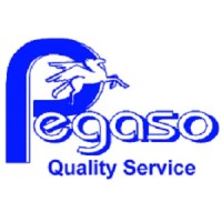 Pegaso S.r.l. Quality Service logo - Similar company to Hot Machines Srl