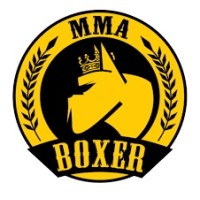 CT BOXER MMA logo - Similar company to Bemconstruir