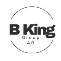 Bking Group logo - Similar company to Multeral Group