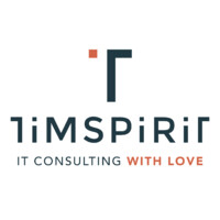 Timspirit logo - Similar company to D2X