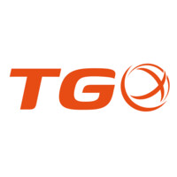 TGO LOGISTICA INTERNACIONAL logo - Similar company to Iscomex
