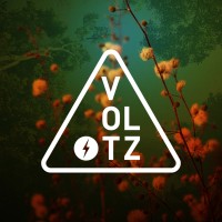Voltz Design