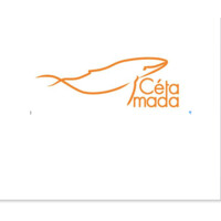 CETAMADA logo - Similar company to Cetacean Research Technology