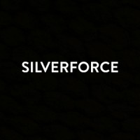 SILVERFORCE Hospitality logo - Similar company to Bed Group