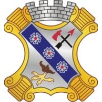 1St Battalion, 8Th Infantry