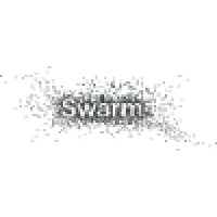 Swarm Partners