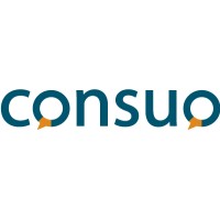 Consuo logo - Similar company to Consuo Networks