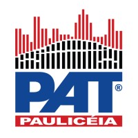 Pat Paulicéia logo - Similar company to B2X