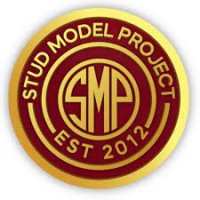 Stud Model Project, LLC logo - Similar company to Diversecity Models
