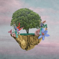 MetAmazonia Inc. logo - Similar company to Sltverse