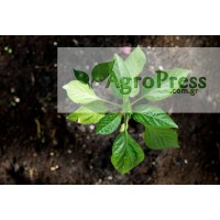 AgroPress logo - Similar company to Casas De Hitos Sl