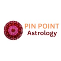 Pin Point Astrology logo - Similar company to Go Experts