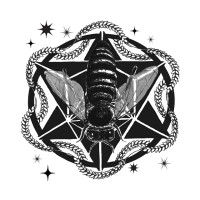 Desiree Rose Studio