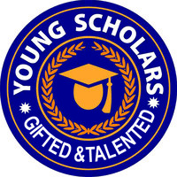 Young Scholars logo - Similar company to Townperks