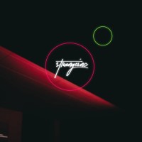 Strange Incorporated logo - Similar company to Techy