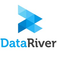DataRiver logo - Similar company to Dbgroup @ Unimore