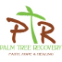 Palm Tree Recovery