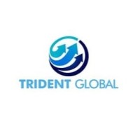 Trident Global Solutions logo - Similar company to Global Infinity Data Solutions Inc