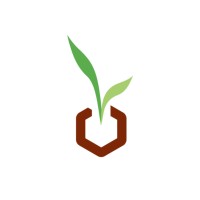 HEXAGON SEEDS logo - Similar company to Sidelsa