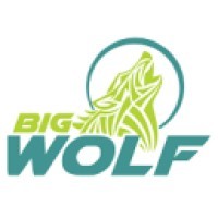 Big Wolf Marketing USA logo - Similar company to Feuas