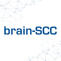 brain-SCC GmbH logo - Similar company to Pdv