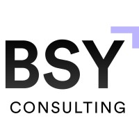 BSY Consulting pvt ltd logo - Similar company to Bsy