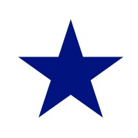 Blue Star Data logo - Similar company to Refroid Technologies Private Limited