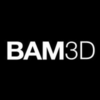 BAM 3D Inc. logo - Similar company to Lng Studios