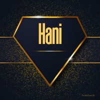 Hani Danish Inspection Consulting logo - Similar company to Iqs Peru - Inspections Quality Standards