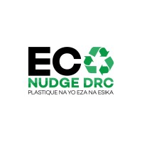 ECONUDGE DRC logo - Similar company to Ebanki