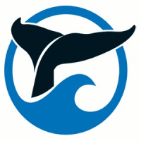 SpringTide Whale Watching & Eco Tours logo - Similar company to Icy Waters Ltd