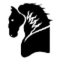 BlackShire Recruiting Services Inc. logo - Similar company to Zchwantech