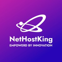 NetHostKing logo - Similar company to Teamwebdesign