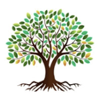Soefia Education Incorporated logo - Similar company to Syntheum Ai