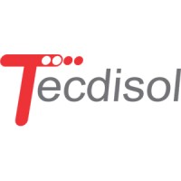 TecDiSol logo - Similar company to Tecdis