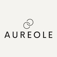 Aureole Jewelry logo - Similar company to Saga Software Hr