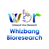 Whizbang Bioresearch Pvt Ltd. logo - Similar company to Dhanvantari Nano Ayushadi