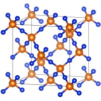 University Of Florida Material Advantage Chapter