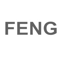 Feng logo - Similar company to Ptc Kimya