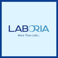 LABORIA logo - Similar company to Carnia Ltd