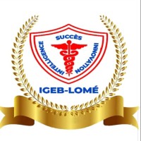 IGEB - Lomé logo - Similar company to Digital Sell Animation237